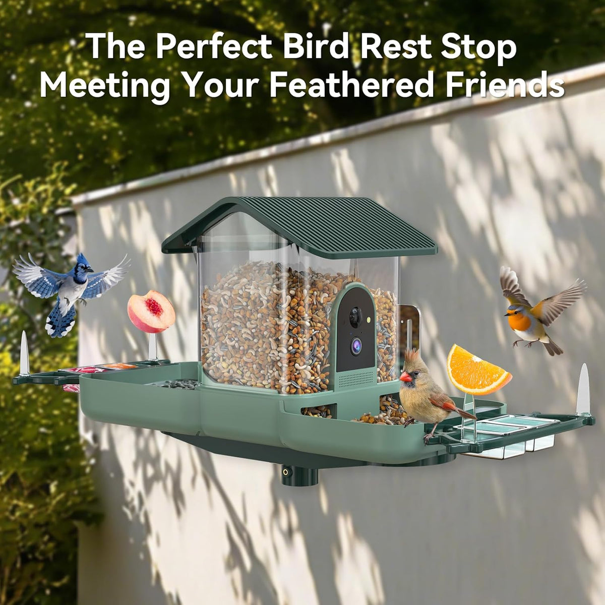 KUIKEO Smart Bird Feeder and Bath 2-in-1 with Dual 2K HD Cameras